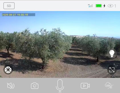 webcam uliveto